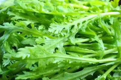 哪些作物適合在7月份種植，包括甘藍、番茄、辣椒等蔬菜
