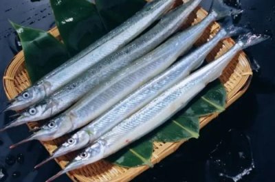 青島刀魚的價格，市場上賣的刀魚都是死的