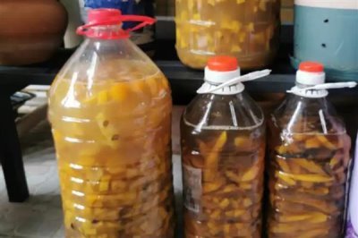 農(nóng)用酵素的制作方式，原料為紅糖、水果原漿等