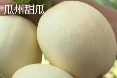 甘肅省天水市有哪些特產(chǎn)水果，包括秦安蜜桃、秦安蘋果、麥積核桃等種類