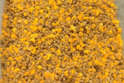 三月河里釣魚技巧，是釣魚的黃金時(shí)節(jié)