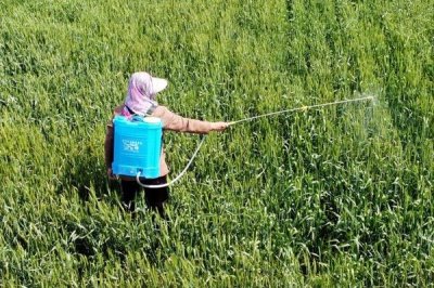 噻唑磷可以殺什么蟲，主要用于防治線蟲、蚜蟲等