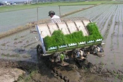 高速插秧機(jī)田間作業(yè)的注意事項(xiàng),作業(yè)前仔細(xì)檢查發(fā)電機(jī)、手柄功能等
