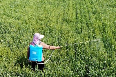除草劑3打3不打指的是什么，打大不打小、打密不打稀