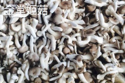 四川省金堂縣的特產(chǎn)，金堂鐵皮石斛作用好但市場(chǎng)價(jià)格很高
