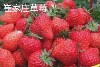 山東昌樂(lè)縣的特產(chǎn)，昌樂(lè)西瓜有200多年種植歷史
