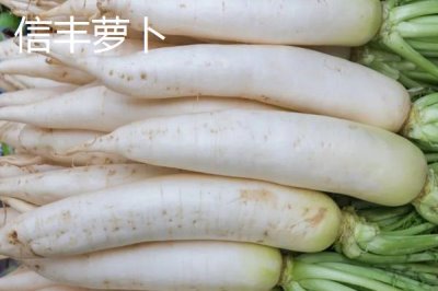 江西贛州市的特產(chǎn)，贛南臍橙成為贛州名片