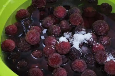 楊梅東魁好吃還是荸薺好吃，各有特點