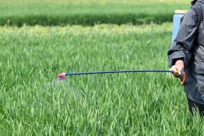 莖葉處理除草劑怎么使用，主要在雜草3-5葉期兌水噴霧
