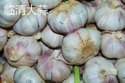 山東省臨沭縣的特產(chǎn)，臨沐太子參在東南亞市場享有盛譽(yù)