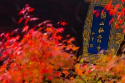 棲霞山紅葉幾月份觀賞最佳，11月中旬至12月中旬最好看