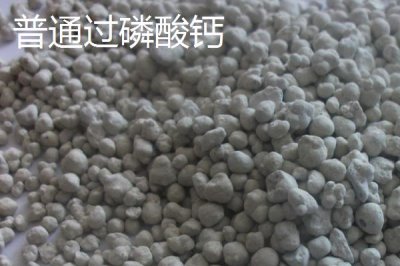 磷肥是什么，主要養(yǎng)分為磷元素