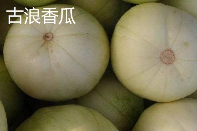 甘肅省武威市的水果特產(chǎn)，涼州皇冠梨栽植歷史悠久