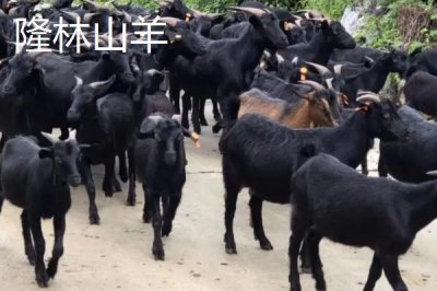 柳州市融水苗族自治縣的特產(chǎn)，包括融水糯米柚、融水香鴨、融水靈芝等種類