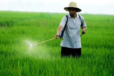 打完除草劑多久見(jiàn)效，不同種類的除草劑的生效時(shí)間不同