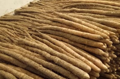 小白嘴白山藥是哪里的特產(chǎn)，屬于河北省深澤縣的特色產(chǎn)品