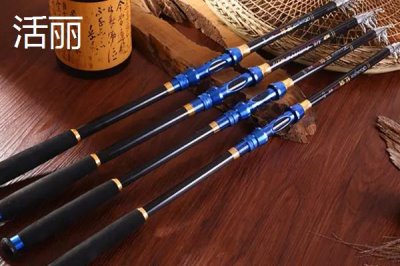 一套釣魚的海竿要多少錢，具體價格因品牌而異
