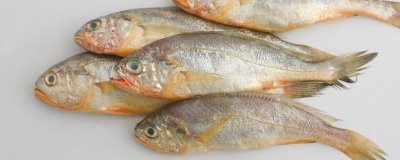 寧波小黃魚(yú)的價(jià)格，單尾重量會(huì)影響到售價(jià)