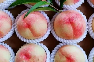 鳳橋水蜜桃的上市時(shí)間，通常為每年的6-8月份