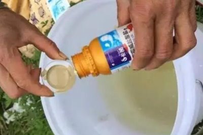 混配毒死蜱的注意事項，不可與堿性農(nóng)藥混合使用