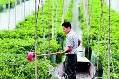 鱔魚(yú)的養(yǎng)殖技術(shù)，放養(yǎng)魚(yú)苗前要對(duì)池塘進(jìn)行消毒工作