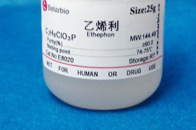 催熟小麥的藥物有哪些，常用的有乙烯利、多效唑和磷酸二氫鉀等