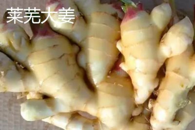 生姜種子的價格，一斤需要5-15元左右