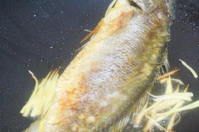 黃魚干的批發(fā)價(jià)格，各地的售價(jià)有區(qū)別