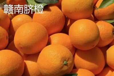 江西省瑞金市的特產(chǎn)，肉圓魚(yú)丸別有風(fēng)味