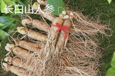 吉林省延吉市的特產(chǎn)，長白山人參是知名特產(chǎn)