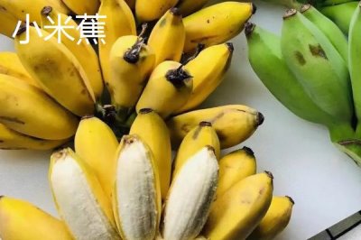 香蕉的產(chǎn)地，原產(chǎn)地是東南亞