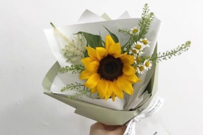 向日葵花的寓意，寓意忠誠(chéng)的愛(ài)、熱情開(kāi)朗等