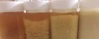 蜂蜜結(jié)晶要如何處理，氣溫升高后可自行恢復(fù)