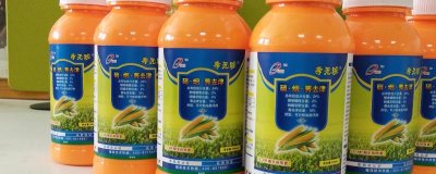 除草劑的分類，可按殺滅方式和作用方法來(lái)分類