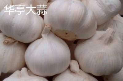 甘肅省民樂縣的特產(chǎn)，產(chǎn)出的蘋果梨具有中國一代梨王的美譽(yù)