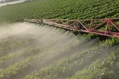 白菜長白斑打什么農(nóng)藥，嘧菌酯、苯醚甲環(huán)唑、嗯唑菌酮·霜脲氰等