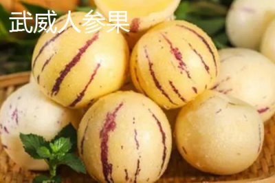 甘肅省武威市的水果特產(chǎn)，涼州皇冠梨栽植歷史悠久