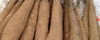 廣東陽山縣的特產(chǎn)，洞冠梨是當(dāng)?shù)靥赜械恼涔? /></p>                            <h2>一、廣東陽山縣的特產(chǎn)</h2><p>1、陽山淮山</p><p>淮山是陽山縣名、優(yōu)、特農(nóng)產(chǎn)品之一，品質(zhì)優(yōu)質(zhì)、外觀長(zhǎng)直、個(gè)體大且光滑均勻，表皮黃褐色，肉質(zhì)潔白。</p><p style=
