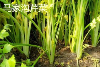 山東平度的特產(chǎn)，被譽(yù)為青島的“后花園”