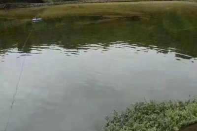 魚塘硫酸銅用什么解毒，通?？捎昧虼蛩徕c來解毒