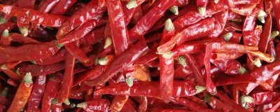 印度椒的分類，可以分為S17、S12和S4三類