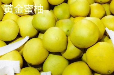 黃金蜜柚和紅柚對比，紅柚更美觀且口感更佳