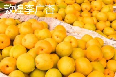 甘肅省天水市有哪些特產(chǎn)水果，包括秦安蜜桃、秦安蘋果、麥積核桃等種類