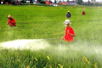 瀏陽霉素的使用方法，針對不同的蟲害的防治方法不同