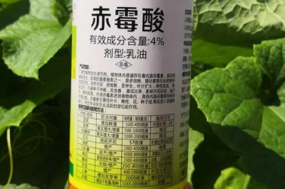 植物生長(zhǎng)激素的類型，公認(rèn)種類包括5個(gè)
