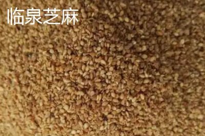 安徽省臨泉縣的特產(chǎn)，臨泉毛筆深受廣大書畫家喜愛