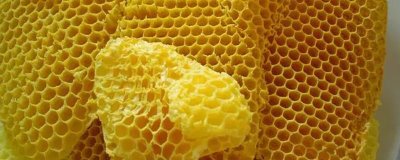蜂產(chǎn)品之間的區(qū)別，來源各不相同