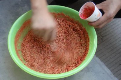 使用播種機(jī)要注意什么，播種時(shí)確保種子處于干燥狀態(tài)