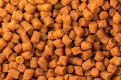 濕料可以加工飼料顆粒嗎，需要控制好飼料中的水分