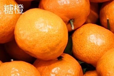 蓮花橙的產(chǎn)地，贛南擁有得天獨厚的生長條件